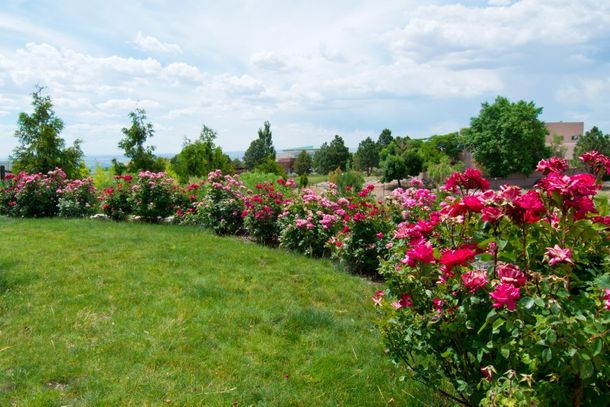 entretien de jardins et végétalisation profesionnels